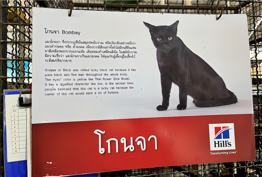 f:id:akoizuminobaka:20251124153125j:image