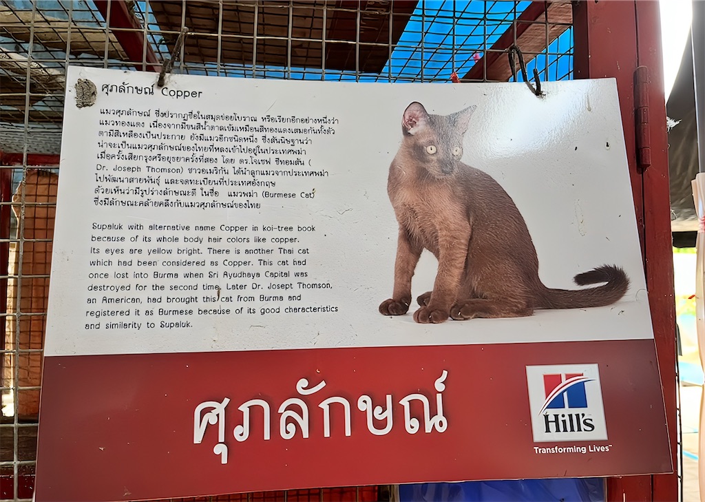 f:id:akoizuminobaka:20251124153213j:image