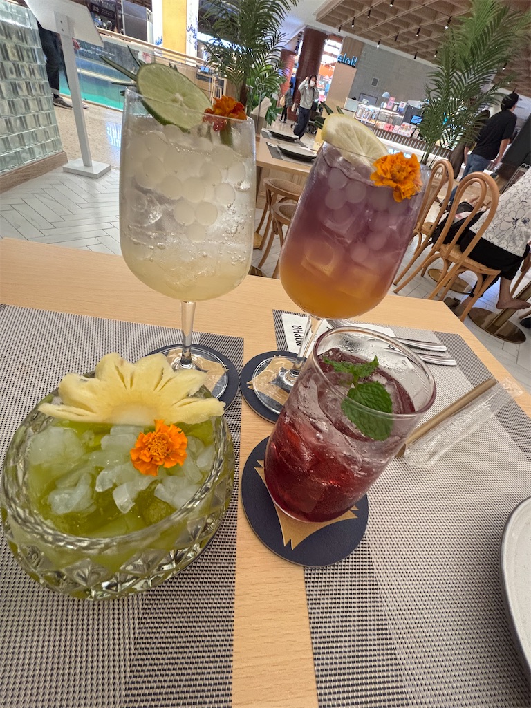 f:id:akoizuminobaka:20251127172254j:image