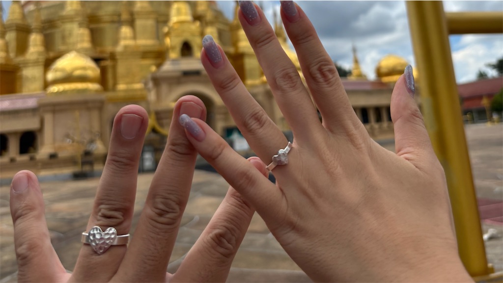 f:id:akoizuminobaka:20260105002115j:image f:id:akoizuminobaka:20260105002115j:image