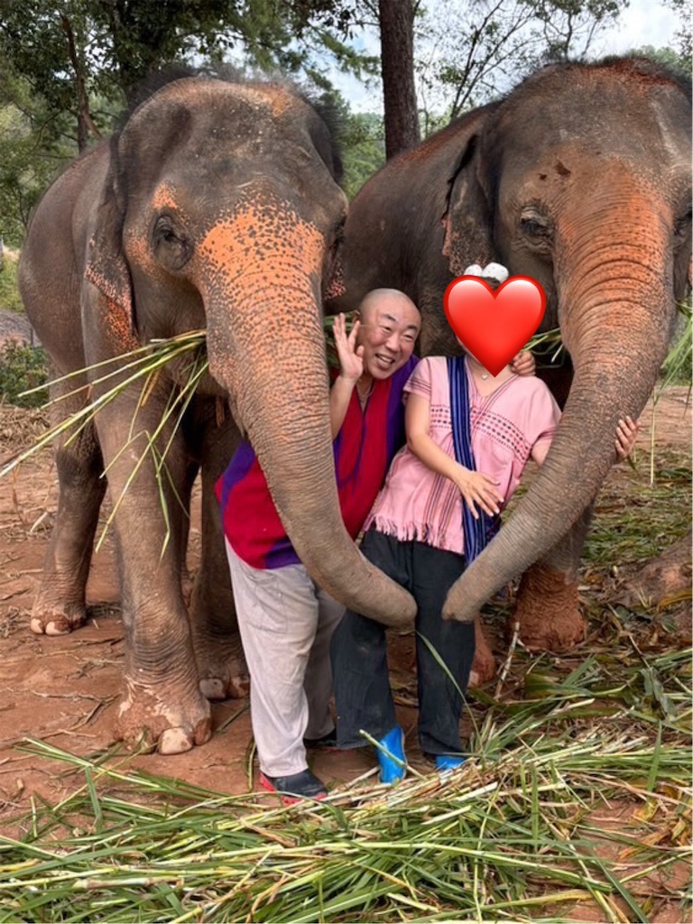 f:id:akoizuminobaka:20260105002147j:image f:id:akoizuminobaka:20260105002147j:image