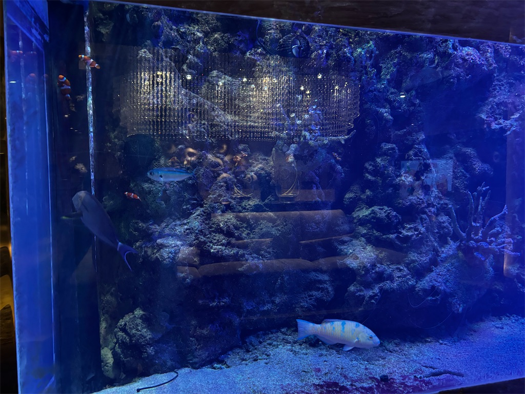f:id:akoizuminobaka:20260608022619j:image