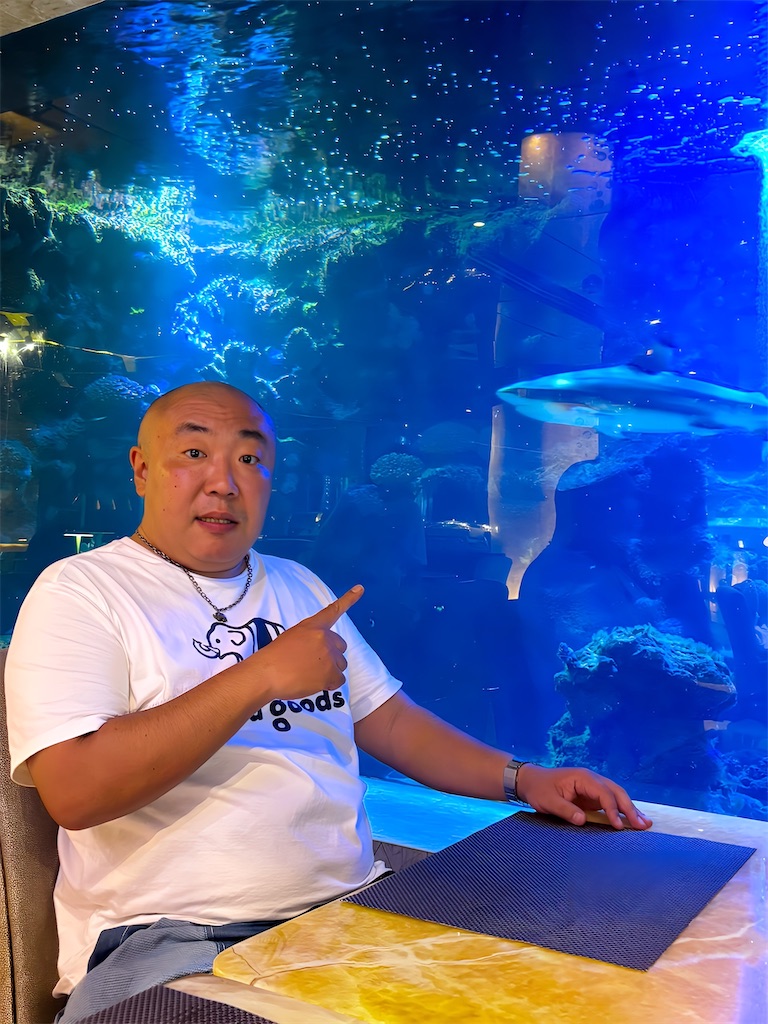 f:id:akoizuminobaka:20260608025334j:image