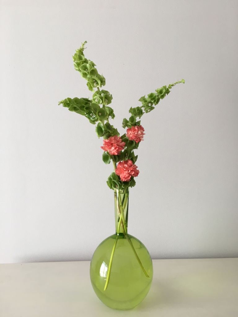 花に見えないけど花です モルセラ Ecoな花活け生活 花に見えないけど花です モルセラ Ecoな花活け生活