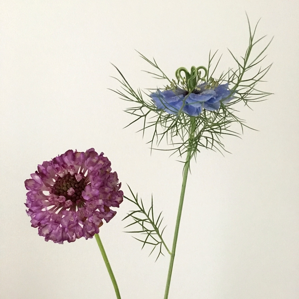 f:id:akokura:20190213154330j:image:w300 f:id:akokura:20190213154330j:image:w300