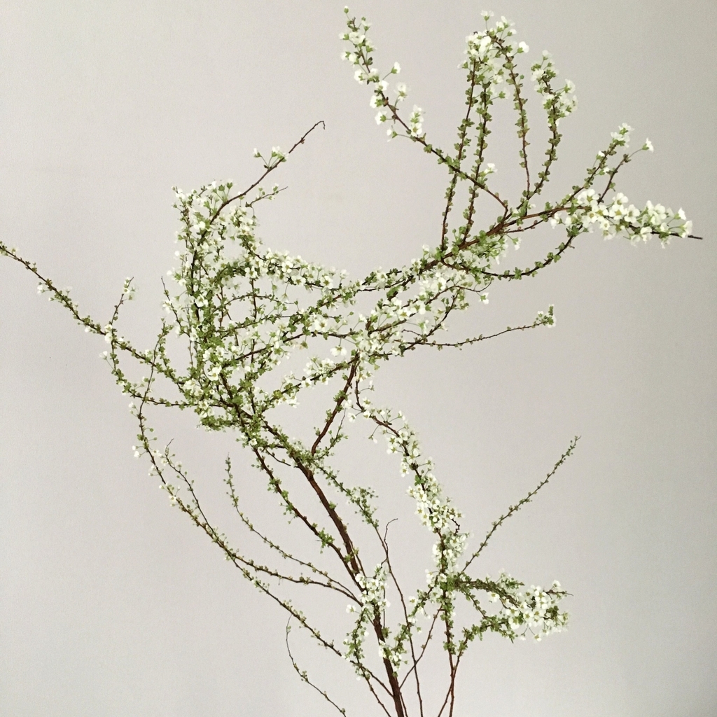 f:id:akokura:20190220115357j:image:w300
