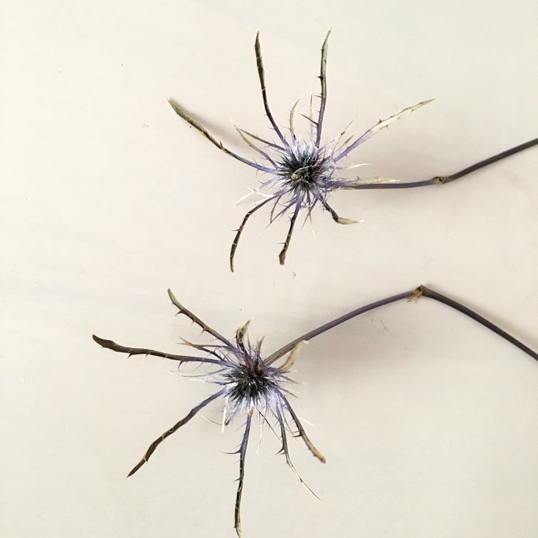 f:id:akokura:20190619183244j:image:w300