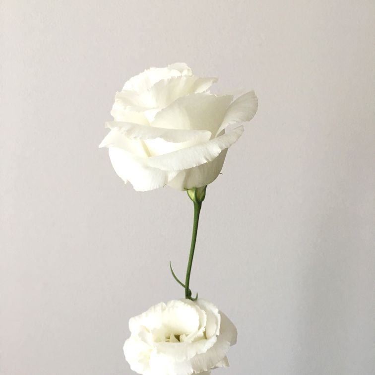 f:id:akokura:20190619191953j:image:w300