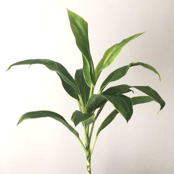 f:id:akokura:20190828133100j:image:w300 f:id:akokura:20190828133100j:image:w300