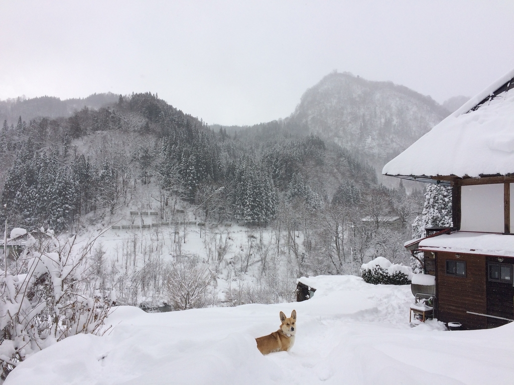 f:id:akooooo:20181228224349j:plain