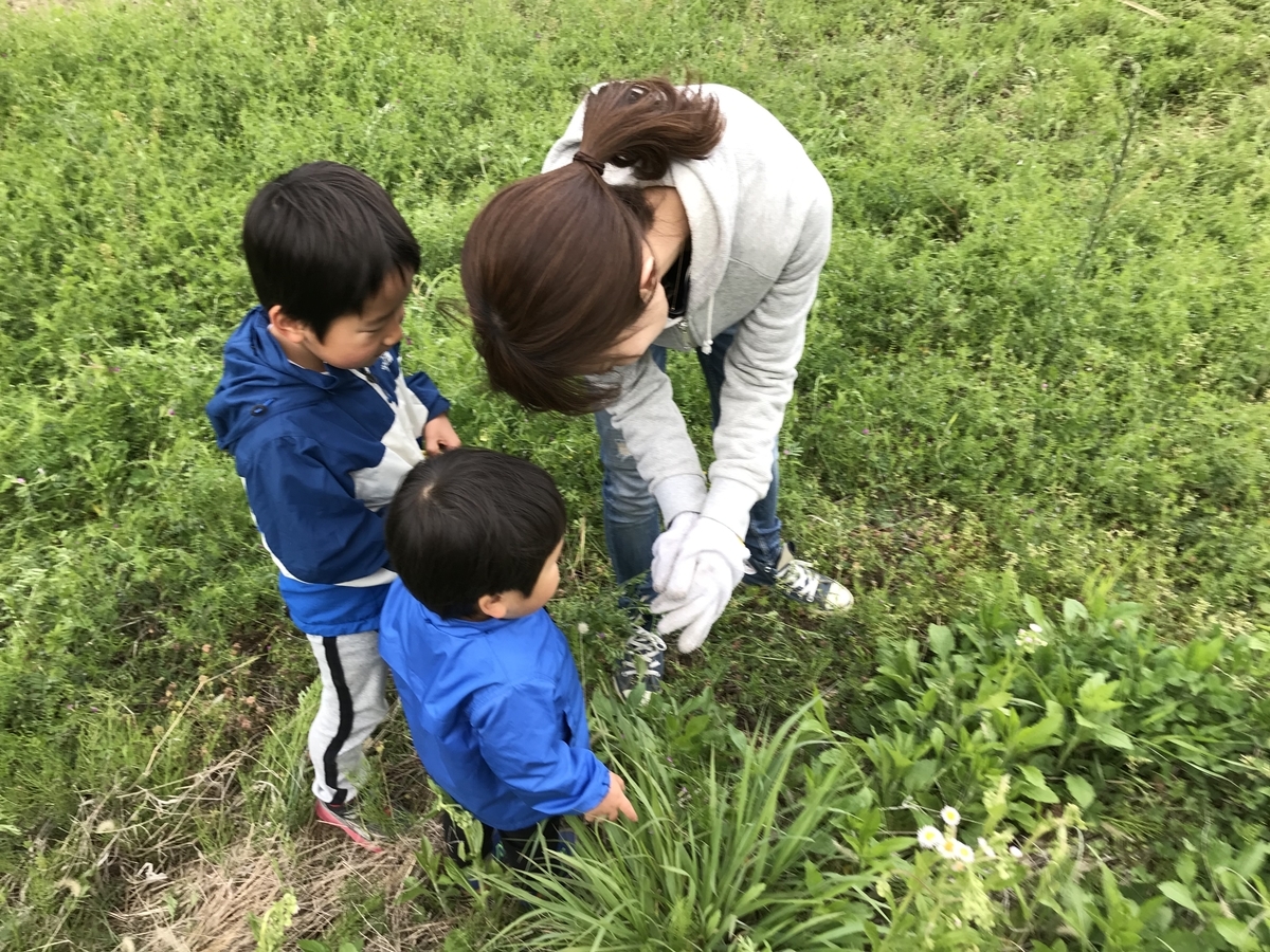 f:id:akooooo:20190510234341j:plain f:id:akooooo:20190510234341j:plain
