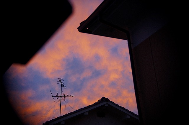f:id:akooyot:20210615080516j:plain