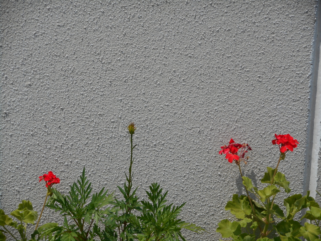 f:id:akouroushix:20160802084512j:plain f:id:akouroushix:20160802084512j:plain