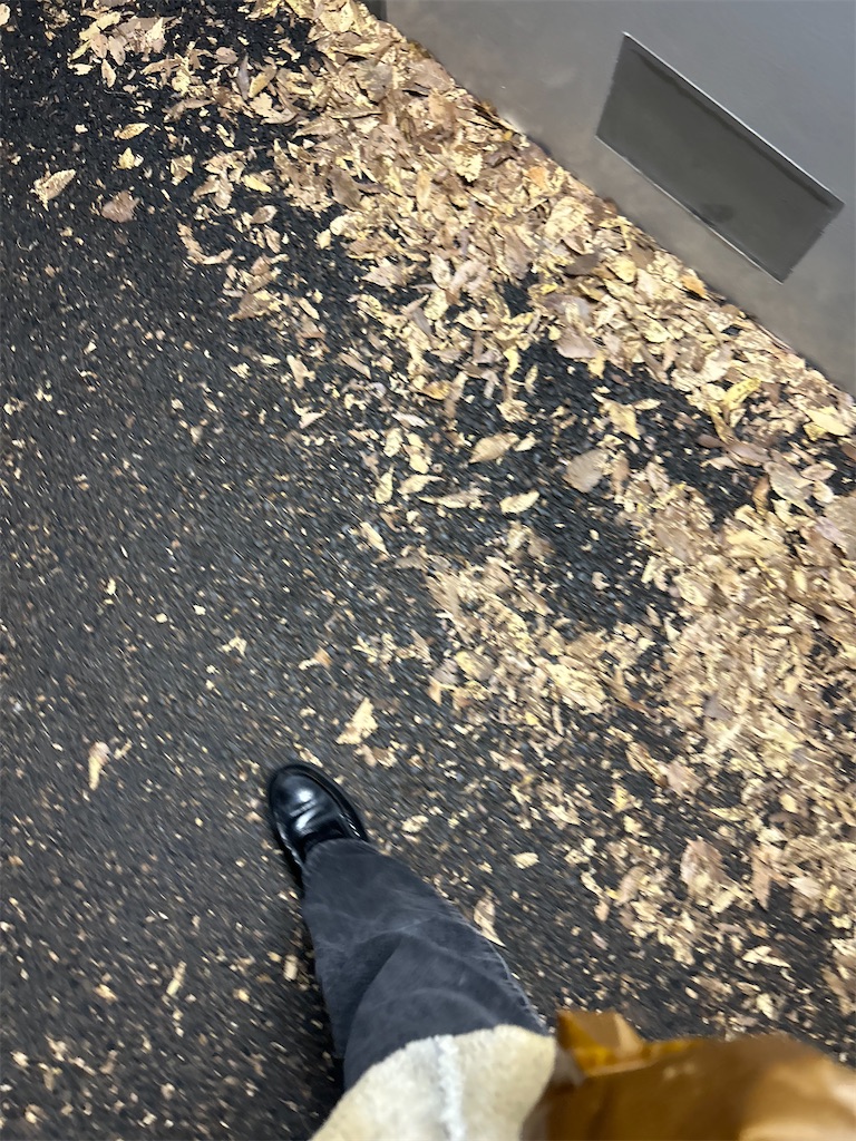 f:id:akrmuff:20260125041711j:image