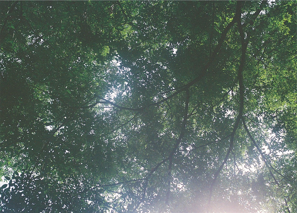 f:id:akrmuff:20260612175203j:image