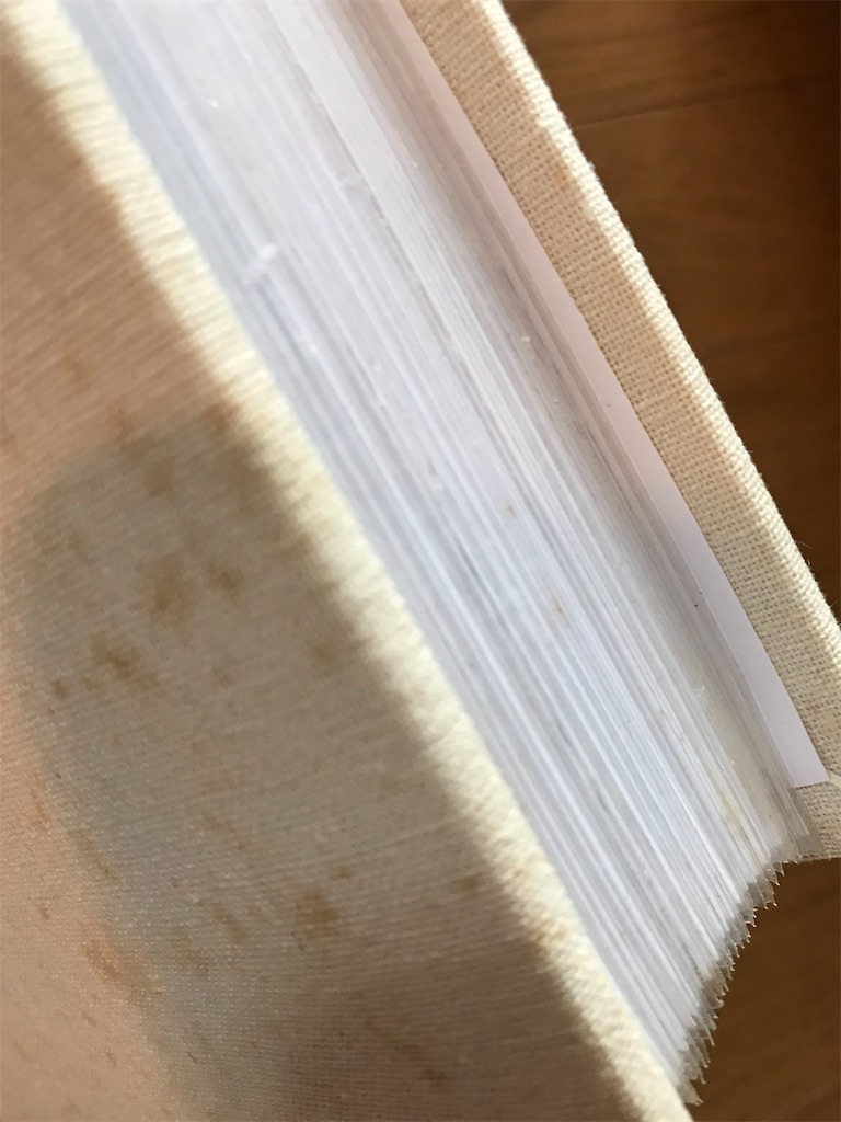 f:id:aksofuh818:20210620101854j:image f:id:aksofuh818:20210620101854j:image