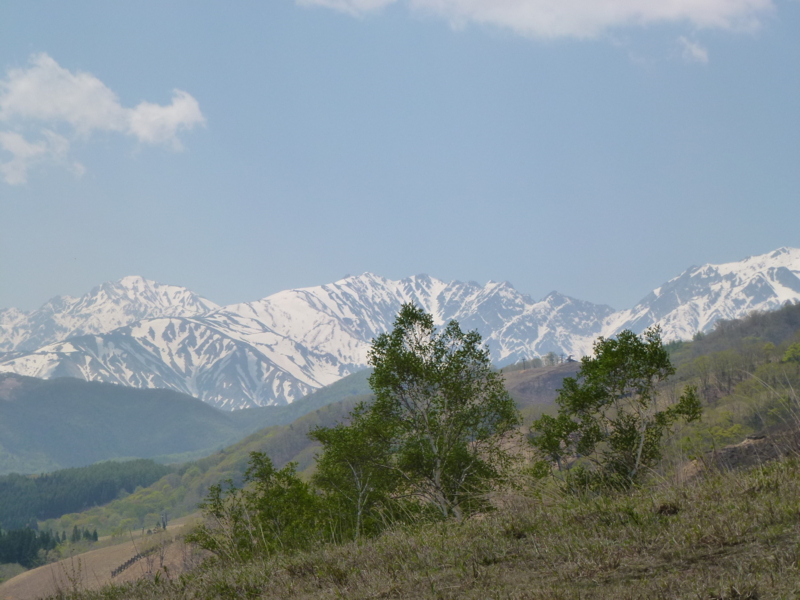 f:id:akt1026:20110518112004j:image
