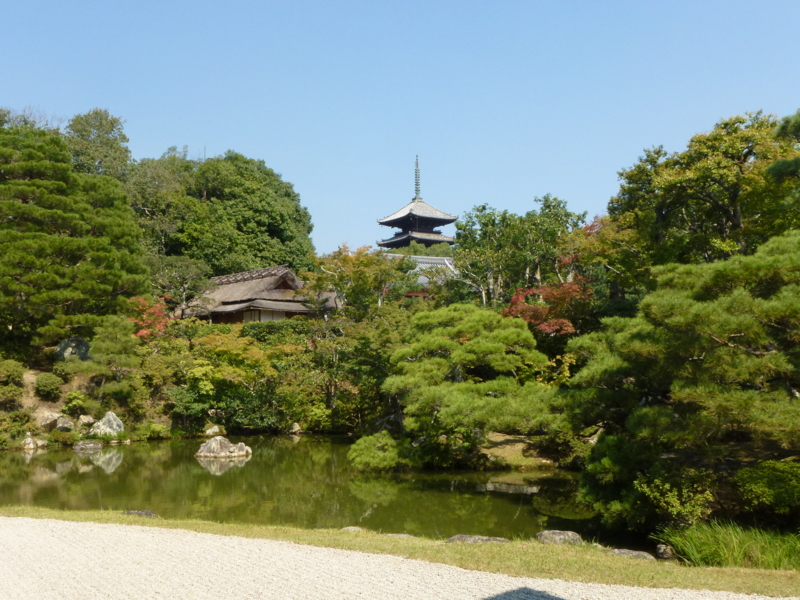 f:id:akt1026:20111009121228j:image