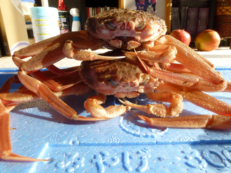 f:id:akt1026:20111113141743j:image