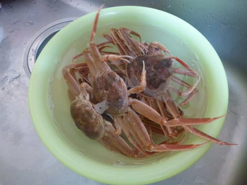 f:id:akt1026:20111113141955j:image