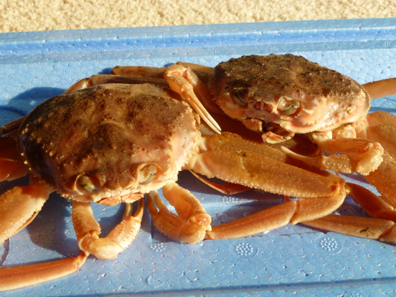 f:id:akt1026:20111113142445j:image