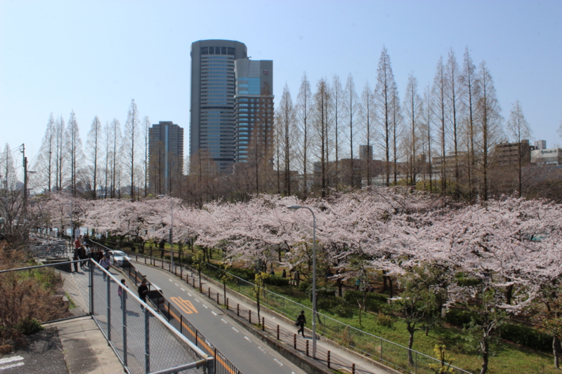 f:id:akt1026:20130330102828j:image