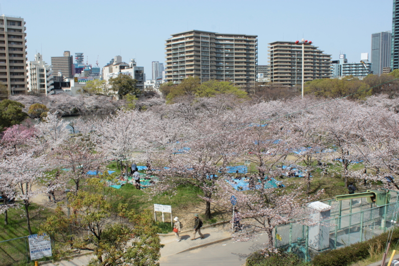 f:id:akt1026:20130330110558j:image