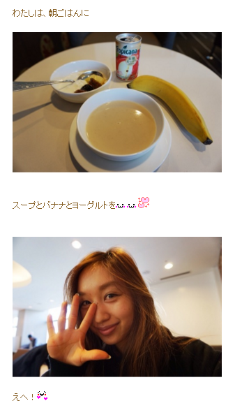 f:id:aku_soshiki:20160211202044p:plain