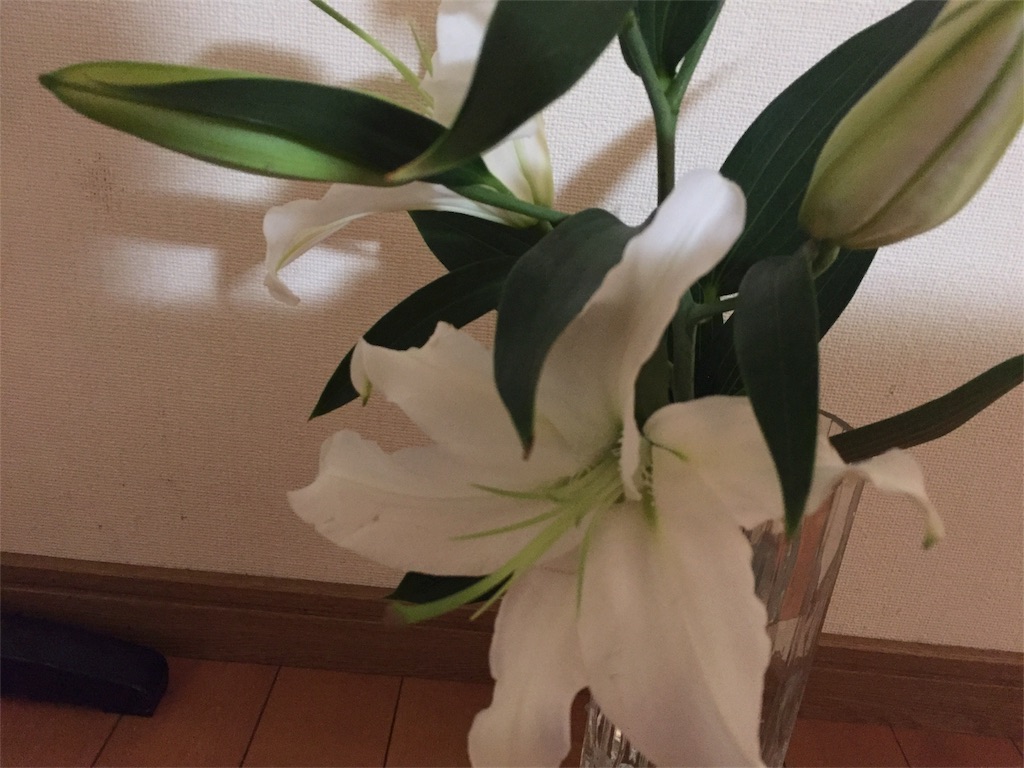 f:id:akubuku:20180825170925j:image