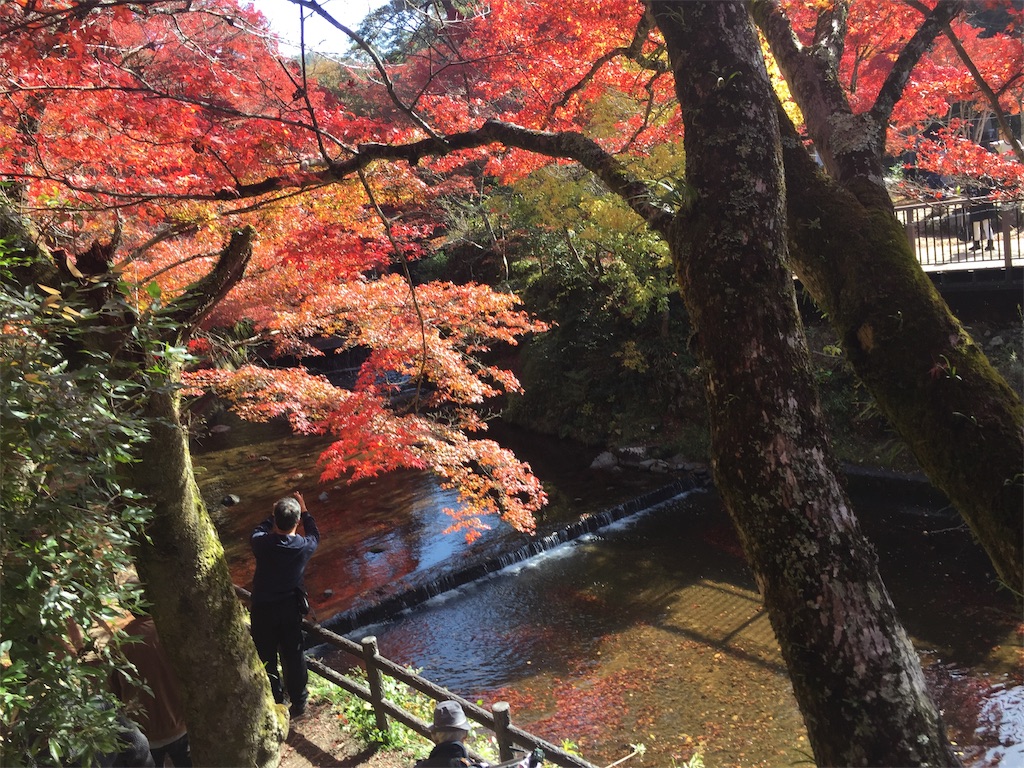 f:id:akubuku:20191119152631j:image