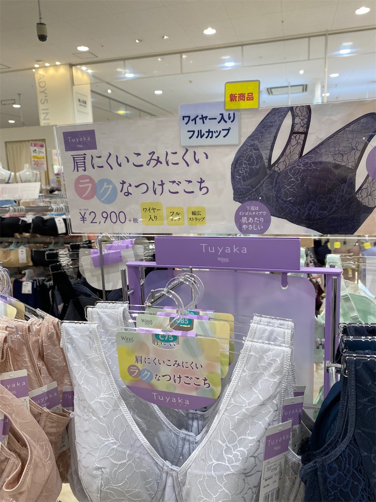 f:id:akubuku:20210314210458j:image