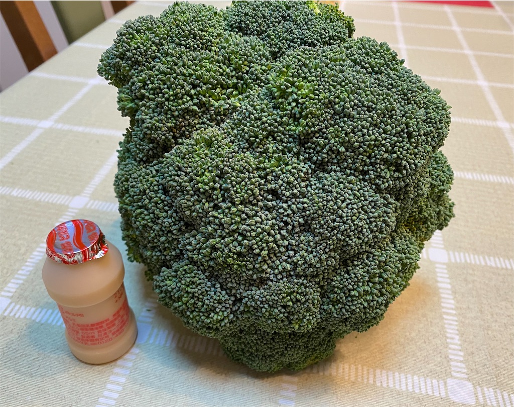 f:id:akubuku:20210326212803j:image f:id:akubuku:20210326212803j:image