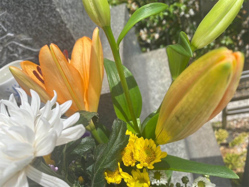 f:id:akubuku:20230528210651j:image