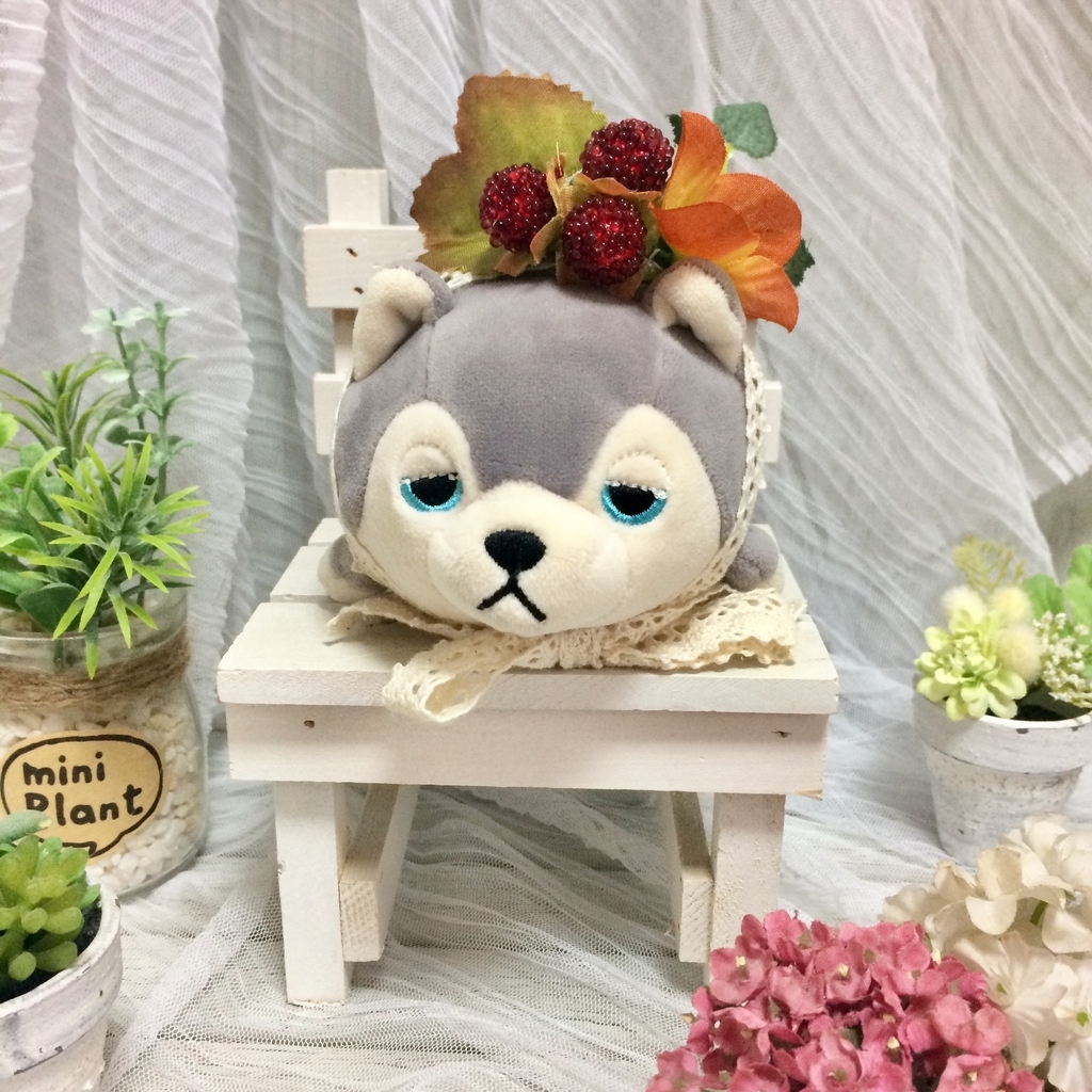 hasu f:id:akumu-hinageshi:20181206175449j:plain