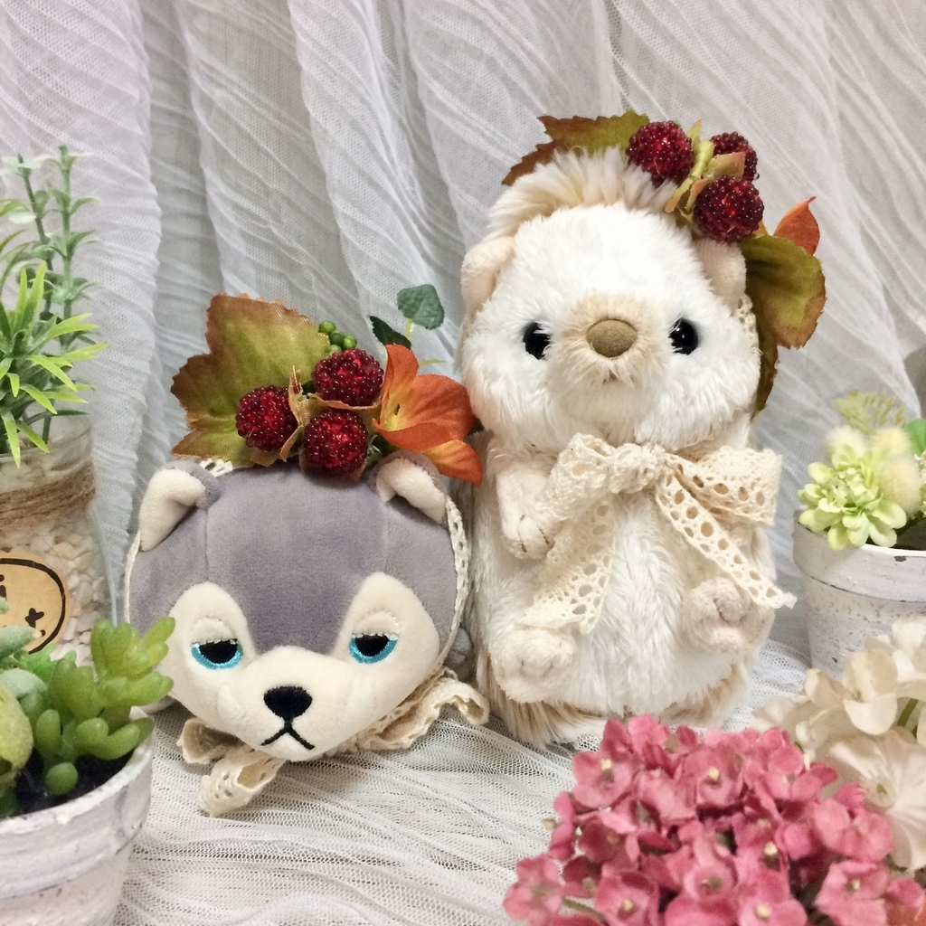 harihasu f:id:akumu-hinageshi:20181206175515j:plain