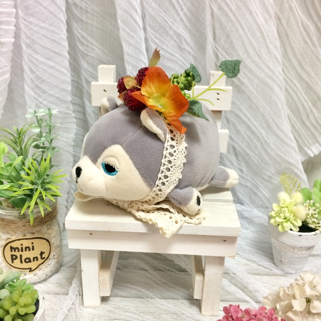 hasu f:id:akumu-hinageshi:20181206175835j:plain