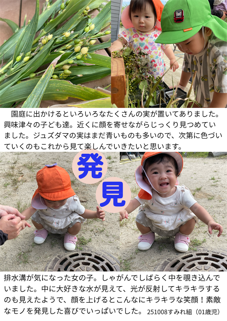 f:id:akunemegumi:20251009124007p:image
