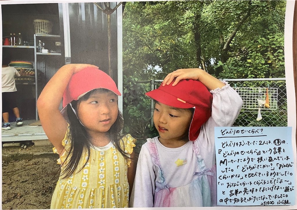 f:id:akunemegumi:20251027181729j:image f:id:akunemegumi:20251027181729j:image
