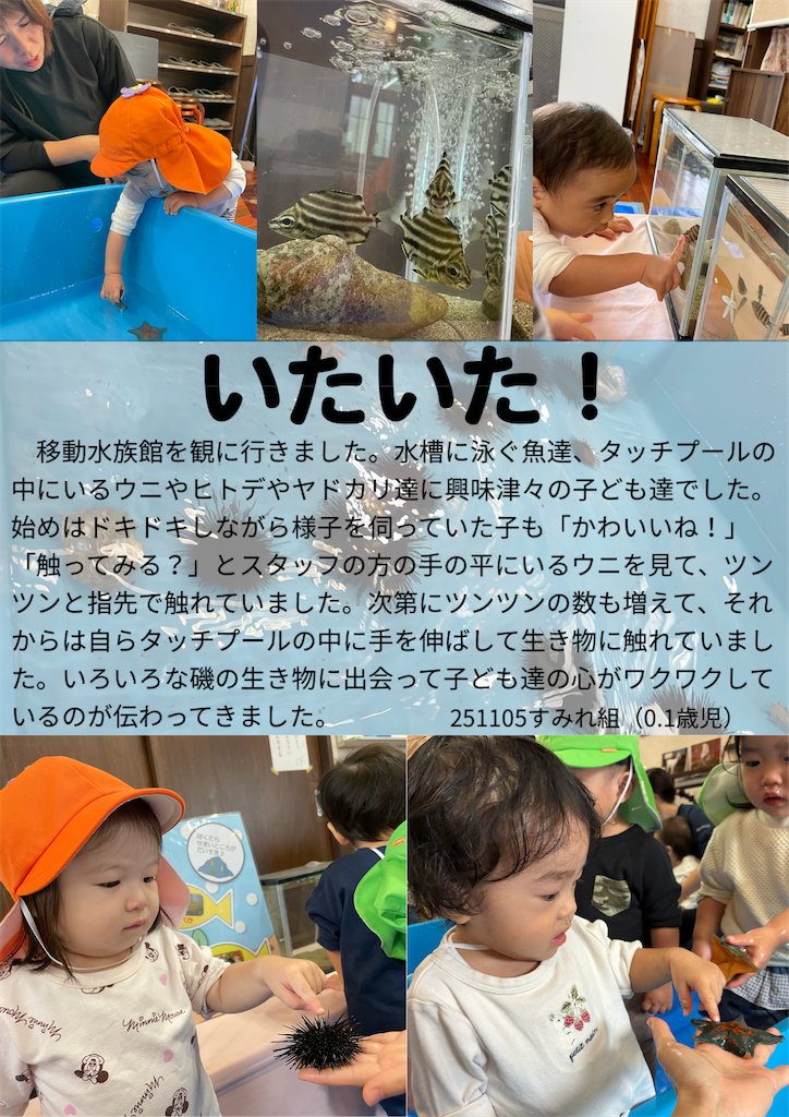 f:id:akunemegumi:20251122182316p:image f:id:akunemegumi:20251122182316p:image