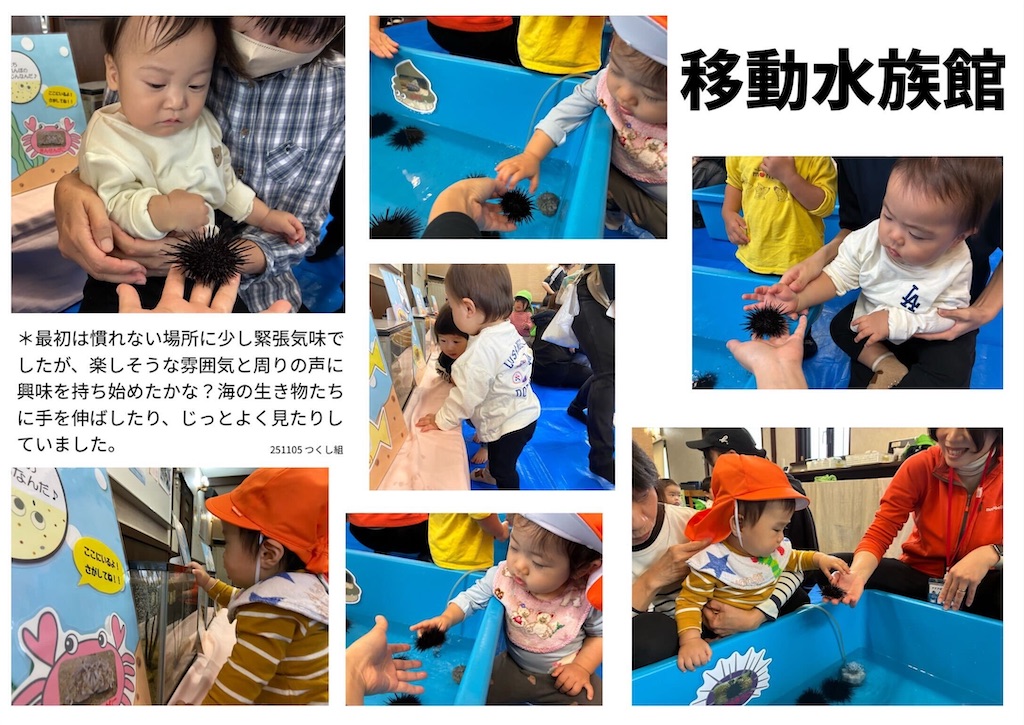 f:id:akunemegumi:20251122182330j:image f:id:akunemegumi:20251122182330j:image