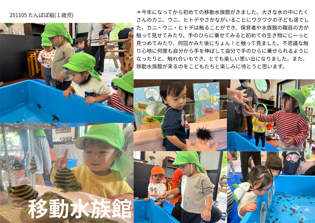 f:id:akunemegumi:20251122182333p:image f:id:akunemegumi:20251122182333p:image