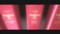 墓