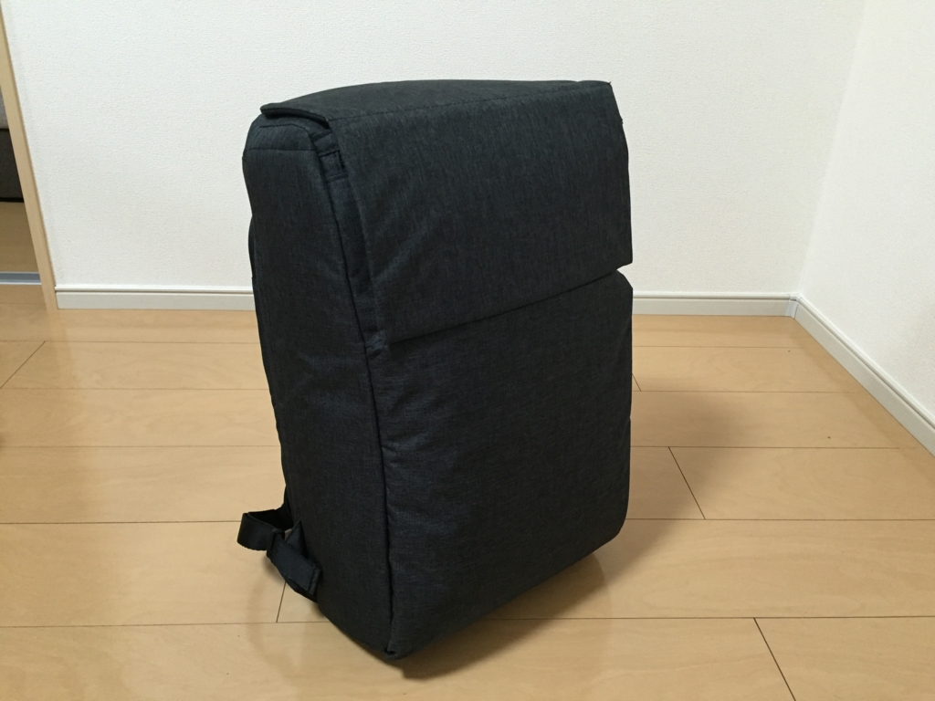 f:id:akuringo:20160808232839j:plain f:id:akuringo:20160808232839j:plain