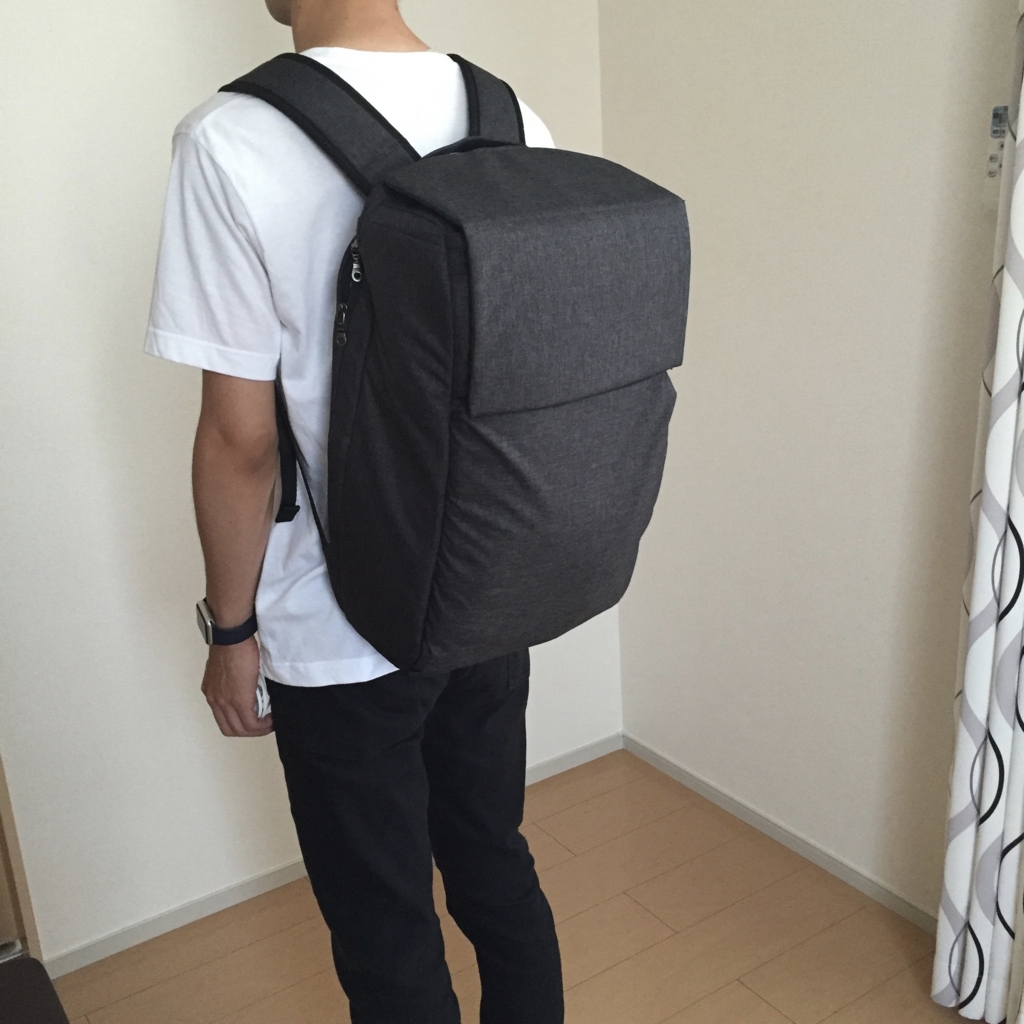 f:id:akuringo:20160808234146j:plain f:id:akuringo:20160808234146j:plain