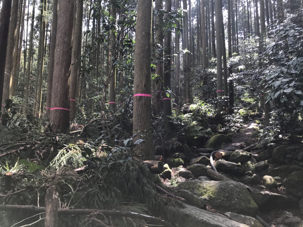 f:id:akuringo:20170505184752j:plain f:id:akuringo:20170505184752j:plain