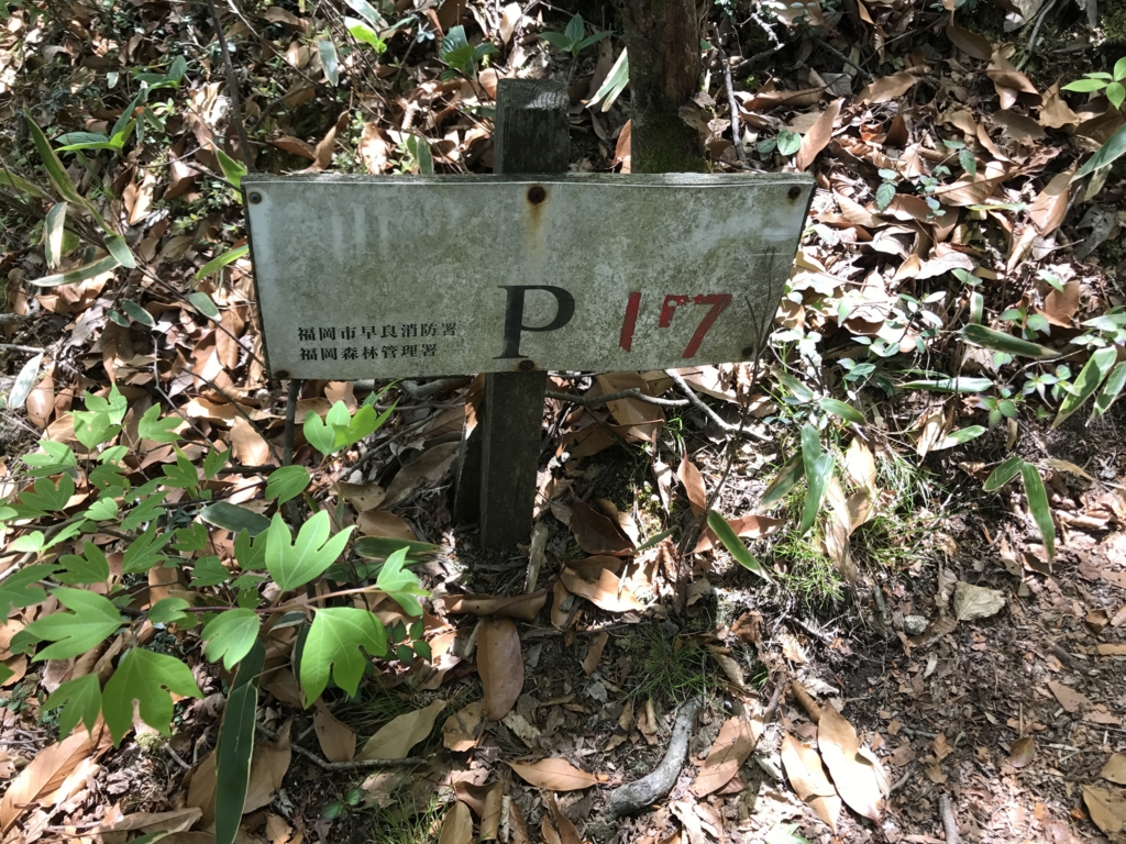 f:id:akuringo:20170517074435j:plain f:id:akuringo:20170517074435j:plain