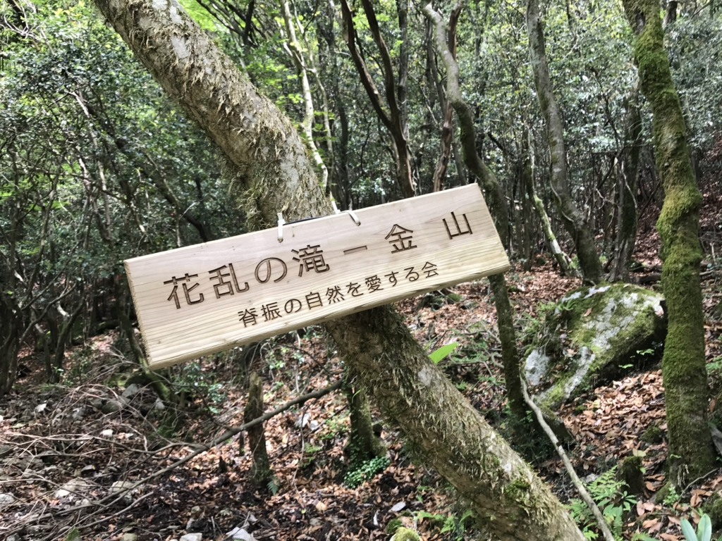 f:id:akuringo:20170517080133j:plain f:id:akuringo:20170517080133j:plain