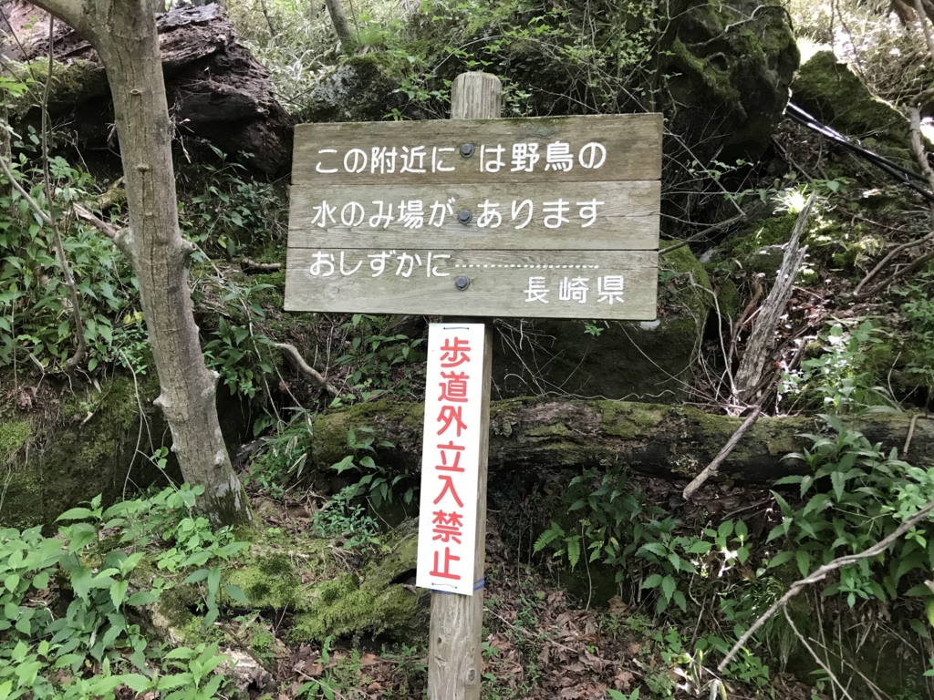 f:id:akuringo:20170524230936j:plain f:id:akuringo:20170524230936j:plain