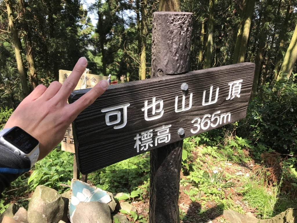 f:id:akuringo:20170530001018j:plain f:id:akuringo:20170530001018j:plain