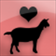 f:id:akusum26:20200113085834p:plain